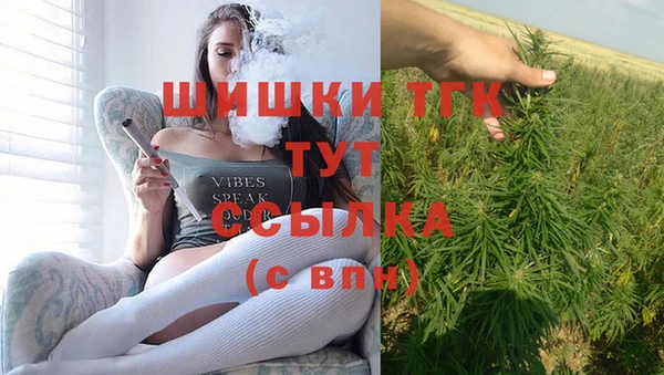 сатива Баксан