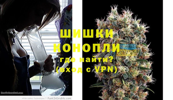 сатива Баксан